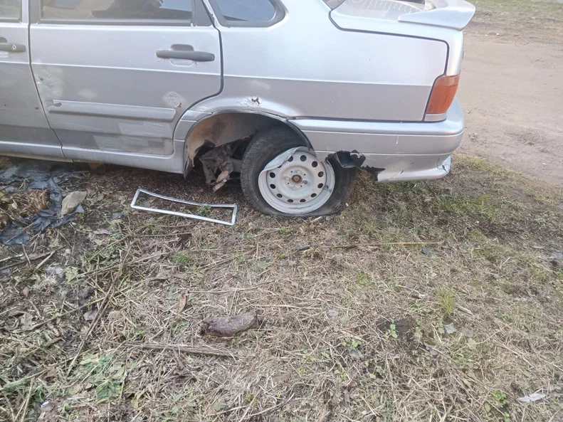 Lada (ВАЗ) 2115 2009 - 16