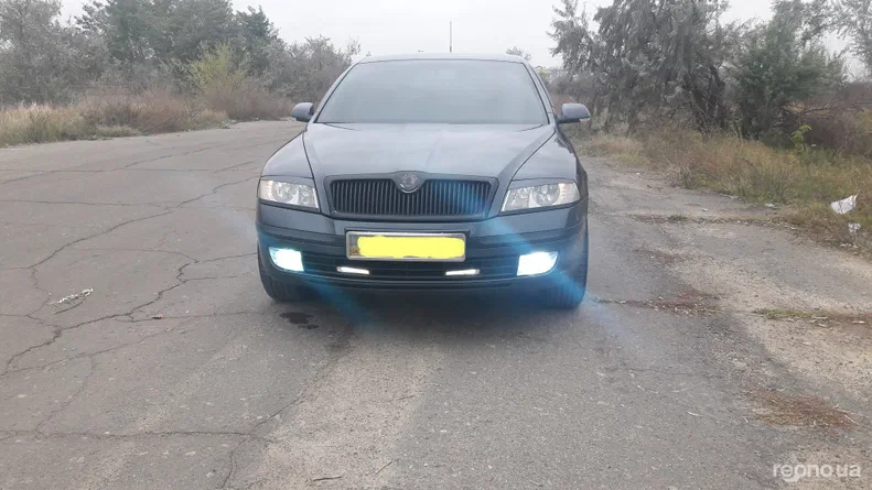 Skoda Octavia 2007 - 12