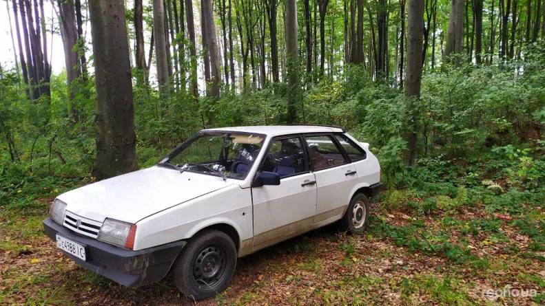 Lada (ВАЗ) 2109 1993 - 19