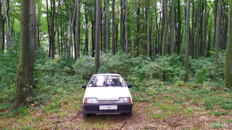 Lada (ВАЗ) 2109 1993 - 16