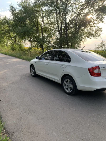 Skoda Rapid 2013 - 5