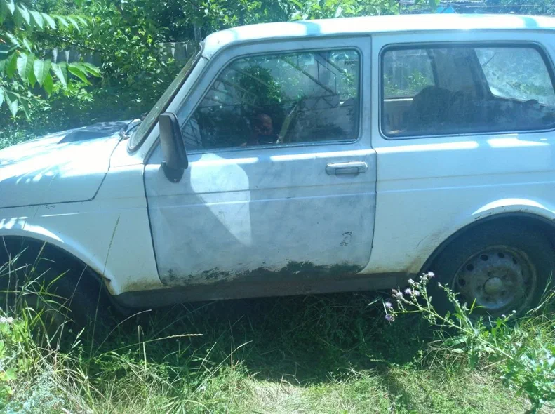 Lada (ВАЗ) 2121 (4x4) 1989 - 0