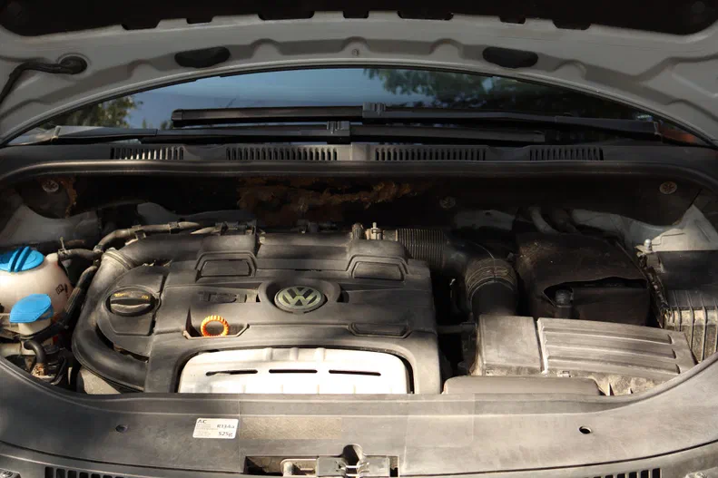 Volkswagen Golf Plus 2011 - 12