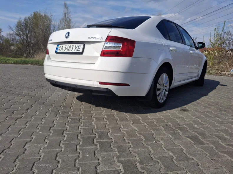 Skoda Octavia 2019 - 9