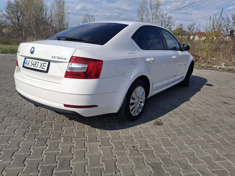 Skoda Octavia 2019 - 14