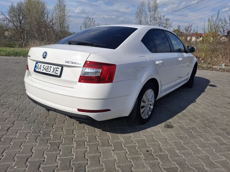 Skoda Octavia 2019 - 12