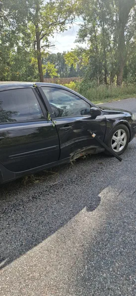 Renault Laguna 2008 - 5