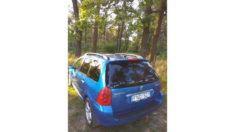 Peugeot 307 2004 - 14