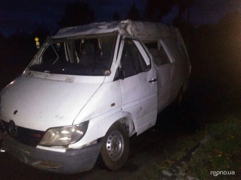 Mercedes-Benz Sprinter 313 Груз-Пас 2003