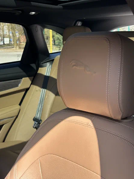 Jaguar F-Pace 2021 - 19