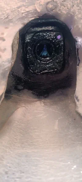 Volkswagen Passat 1989 - 31