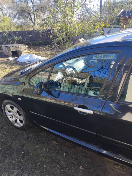 Peugeot 307 2006 - 8