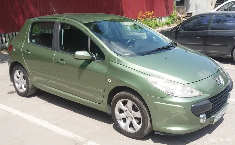Peugeot 307 2006 - 8
