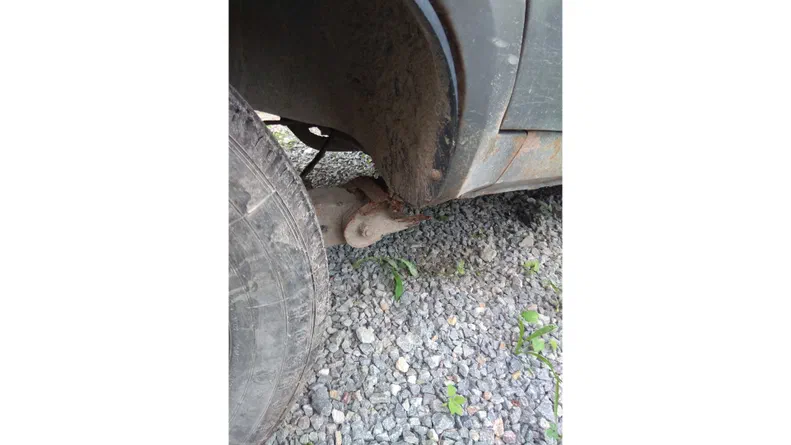 ЗАЗ 1105 «Дана» 1995