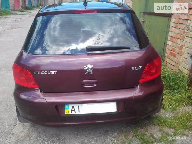Peugeot 307 2006 - 5