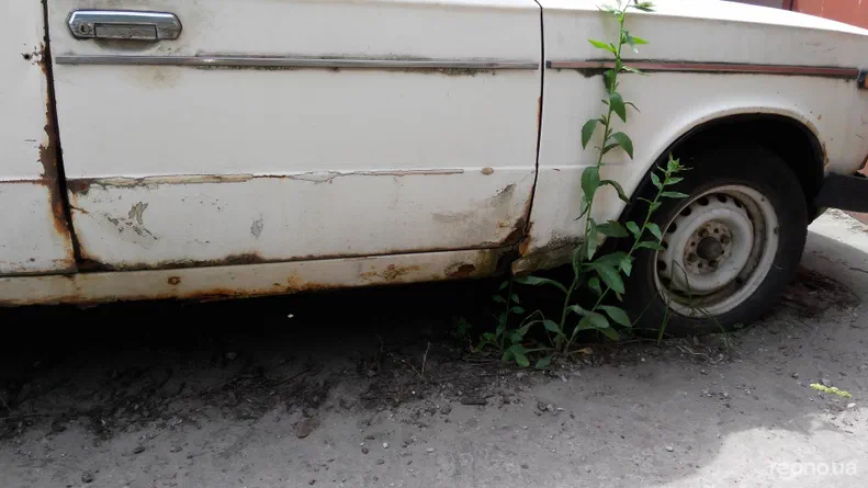 Lada (ВАЗ) 2106 1989 - 5