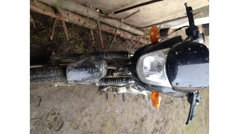 VIPER V150N 2010 - 6