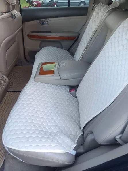 Lexus RX 2008 - 14
