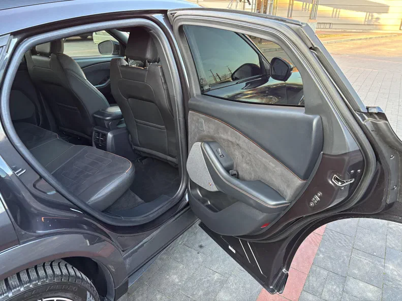 Ford Mustang Mach-E 2021 - 19