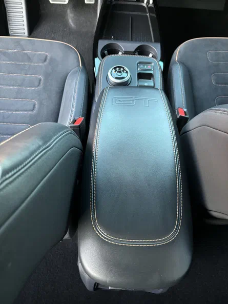 Ford Mustang Mach-E 2021 - 26