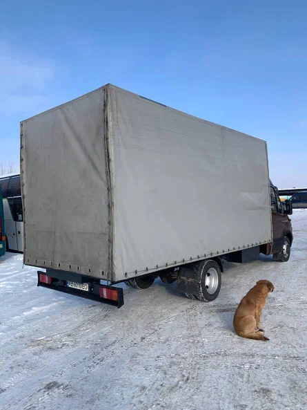 Iveco EuroStar 2002 - 7