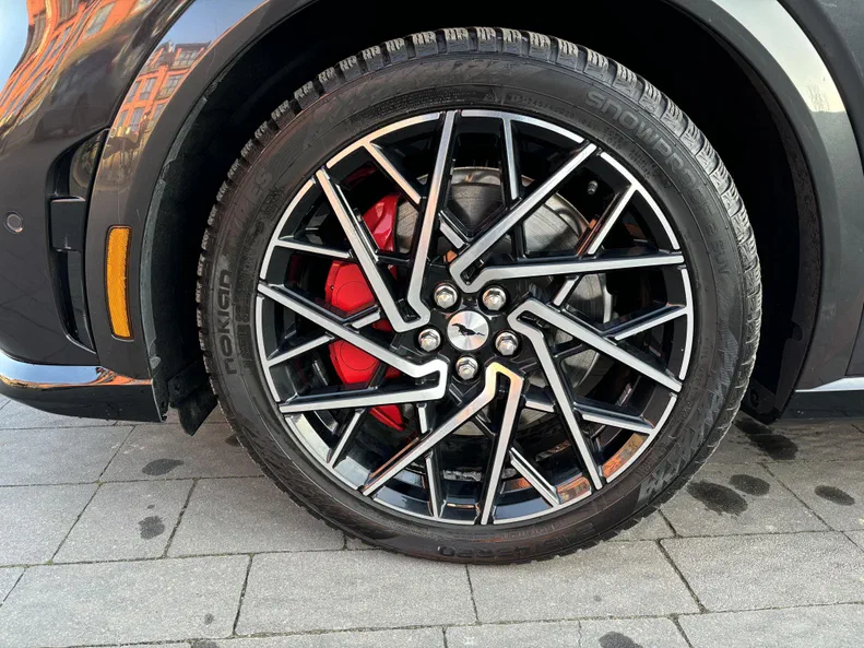 Ford Mustang Mach-E 2021 - 16