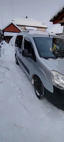 Citroen Berlingo 2009