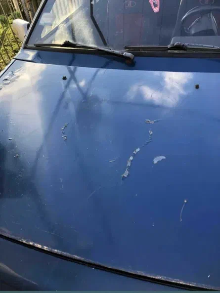 Lada (ВАЗ) 2109 1991