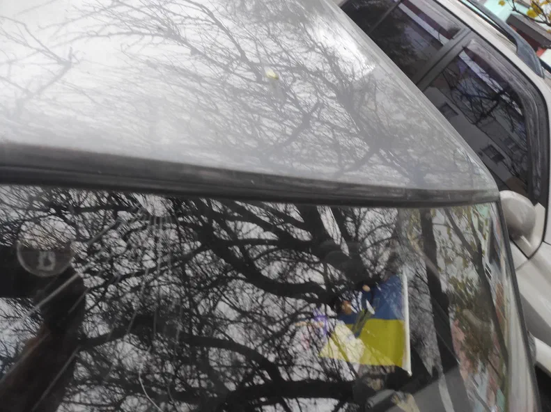 Lada (ВАЗ) 21099 2006 - 5