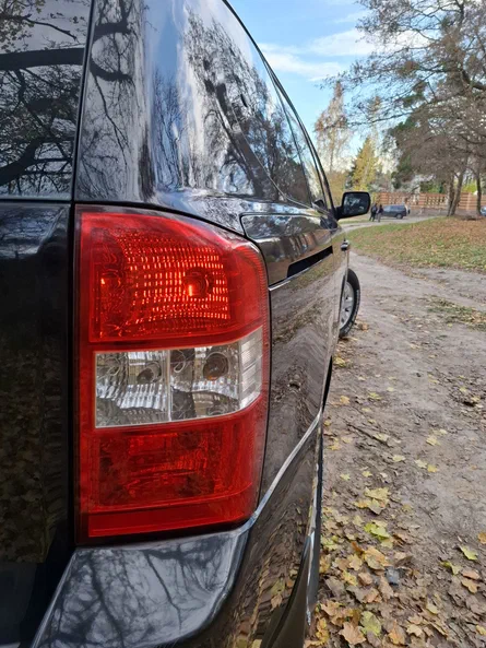 Kia Carnival 2009 - 14