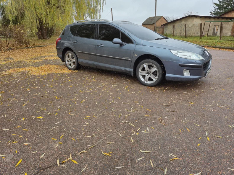 Peugeot 407 2006 - 5