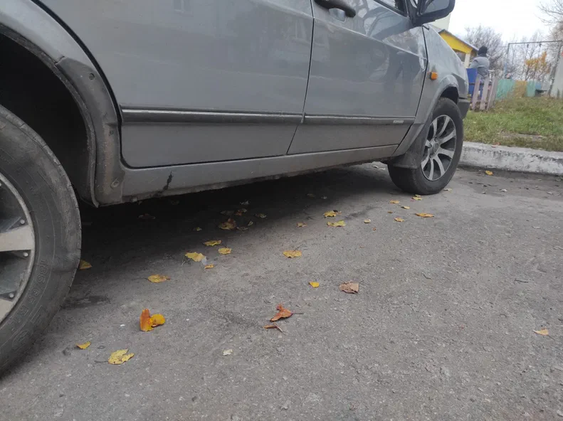 Lada (ВАЗ) 21099 2006