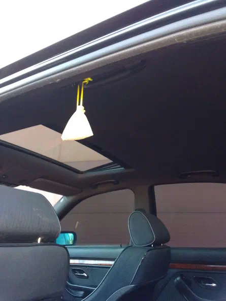 BMW 5 серія 1999 - 13