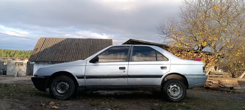 Peugeot 405 1989