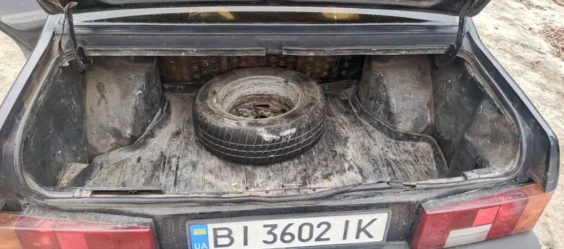 Lada (ВАЗ) 21099 2008 - 11