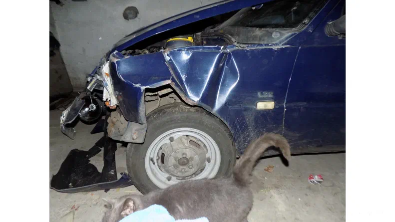 ЗАЗ 1103 «Славута» 2004