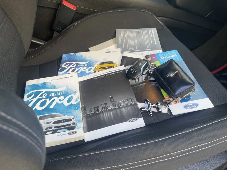 Ford Mustang 2017 - 17