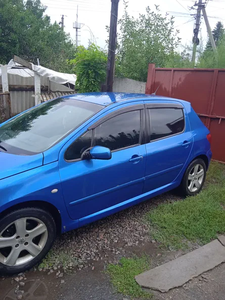 Peugeot 307 2002