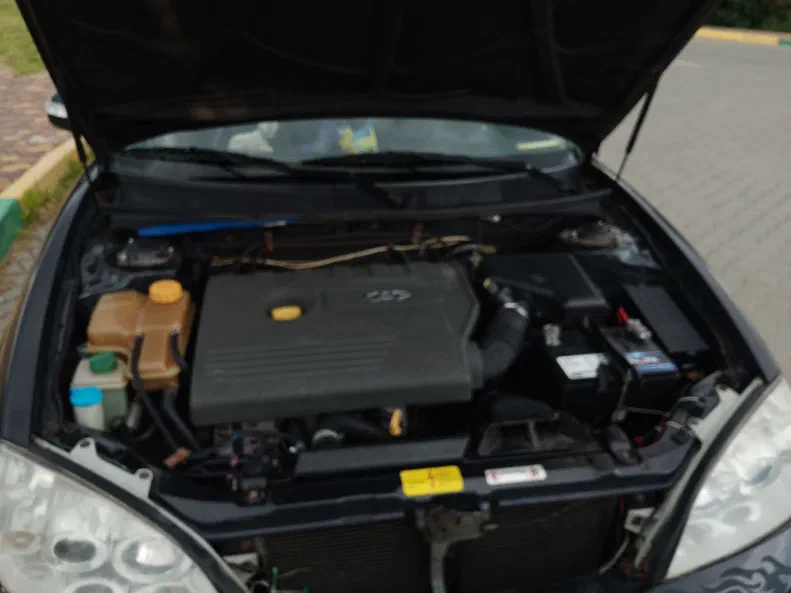 Chery CrossEastar (B14) 2009