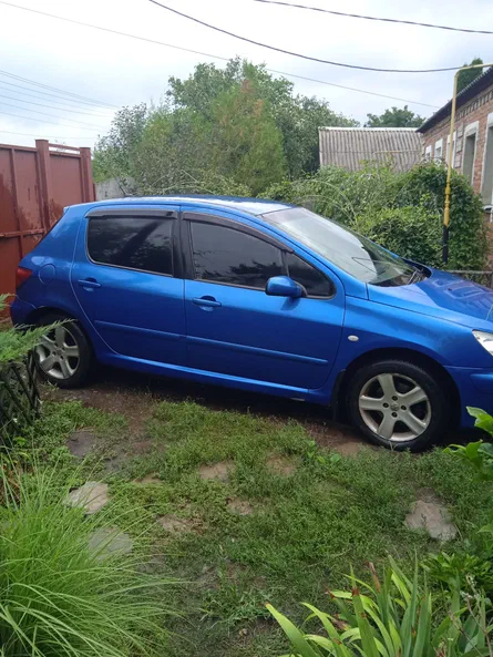 Peugeot 307 2002