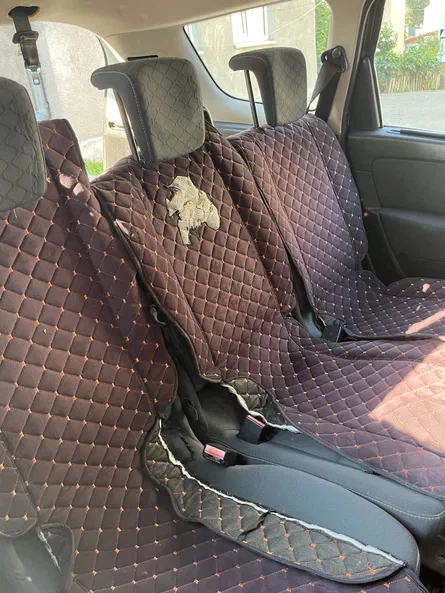 Renault Scenic 2010 - 1