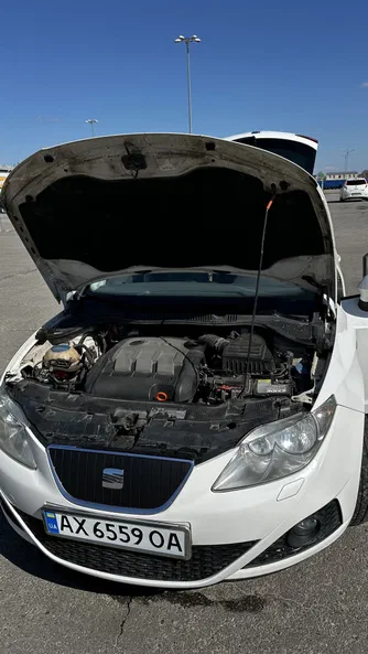 SEAT Ibiza 2011 - 8
