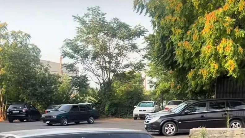 Lada (ВАЗ) 21099 2002 - 0