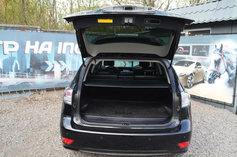 Lexus RX 2010 - 22