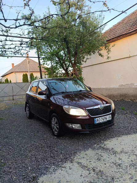Skoda Fabia 2010 - 3