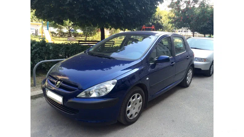 Peugeot 307 2003 - 20