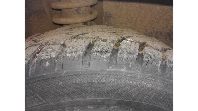 ЗАЗ 1105 «Дана» 2003 - 6