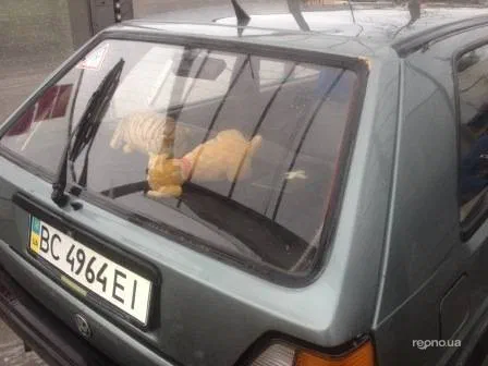 Volkswagen Golf 1988 - 13