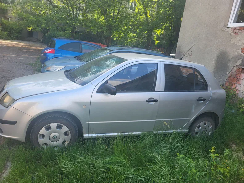 Skoda Fabia 2006 - 3