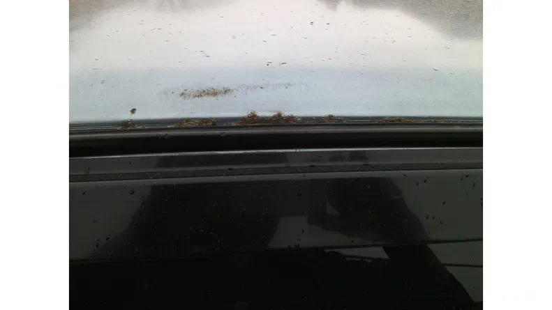 Lada (ВАЗ) 21099 2006 - 8